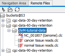 Image remote-files-data-list