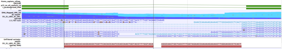 Image annotaternavariantsknownintron