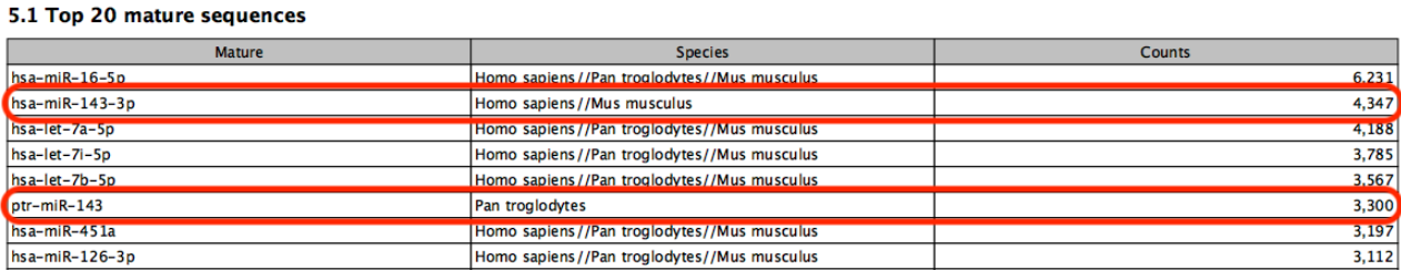 Image duplicatemir