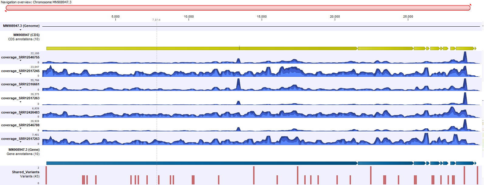 Image sarscov2genomeview