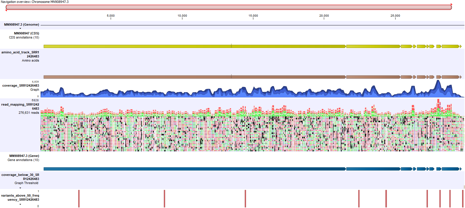 Image sarscov2genomeonesampleview