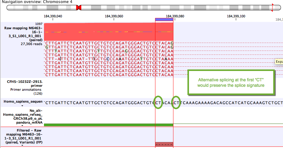 Image annotaternavariantssplicevariant