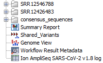 Image sarscov2wfoutput