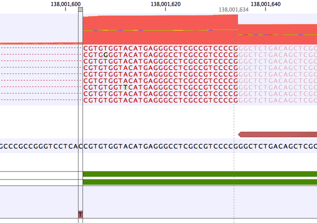 Image annotaternavariantsclosestexon