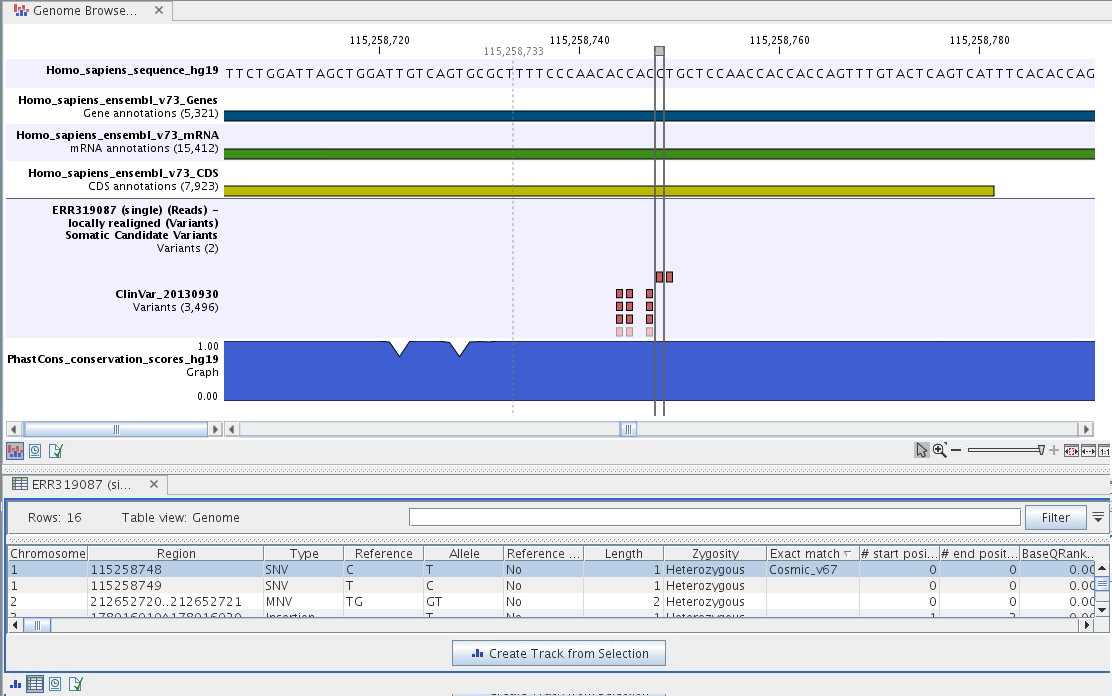 Image filter_somatic_variants_genome_browser_view2_tas