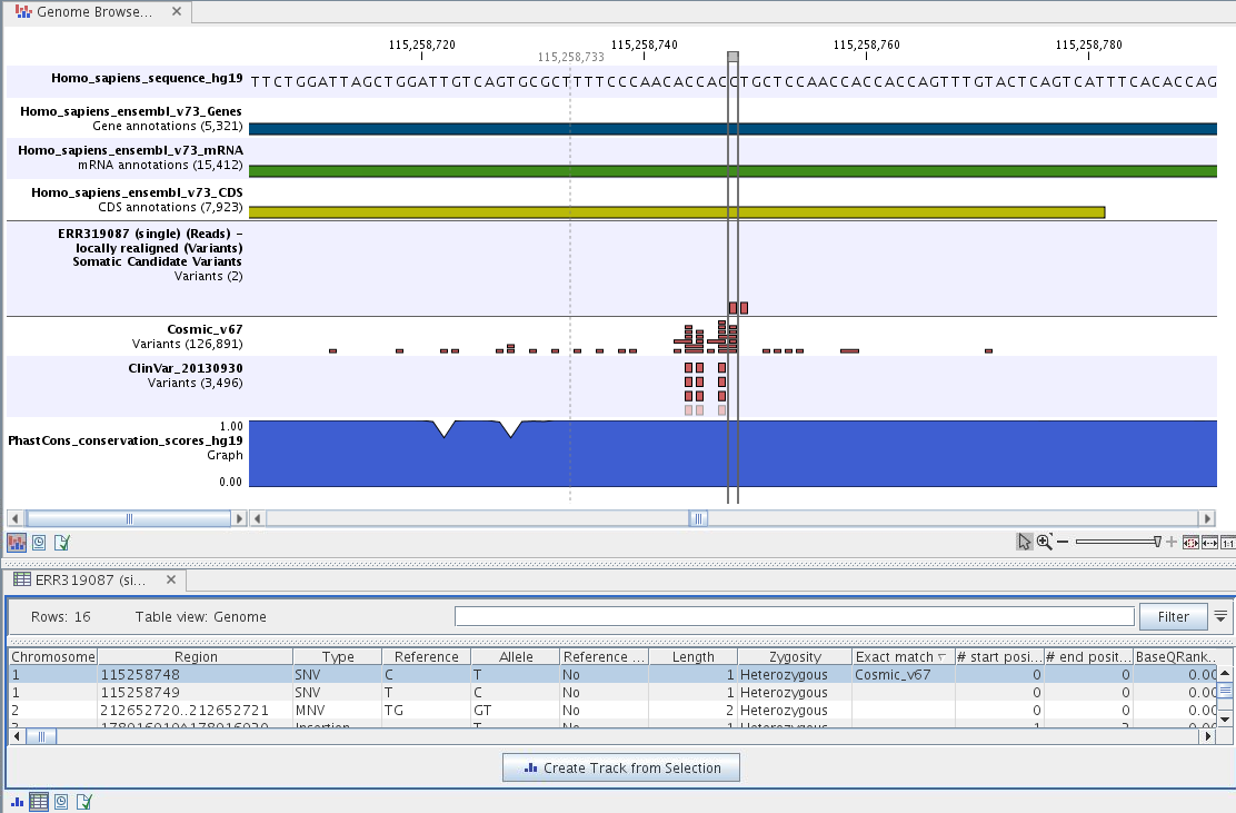 Image filter_somatic_variants_genome_browser_view2_wes