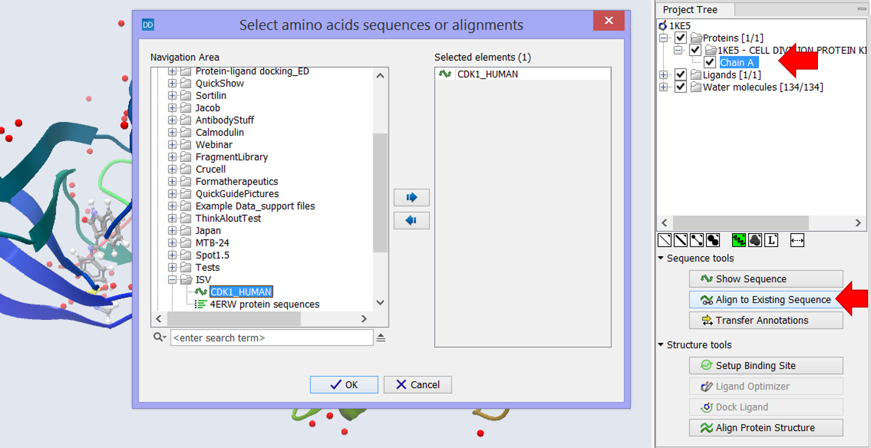 Image Align2ExistingSequence_markup