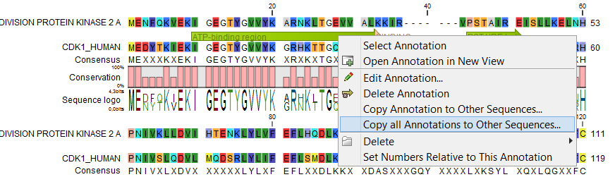 Image SequenceAlignmentCopyAnnotations