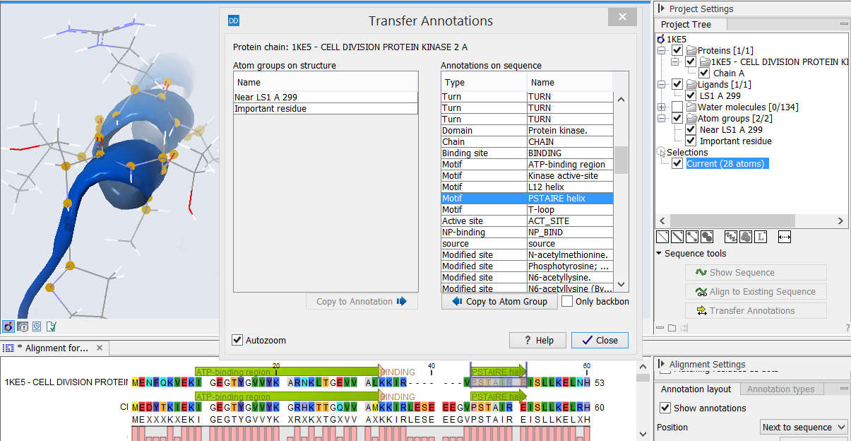 Image TransferAnnotationsSequenceStructure