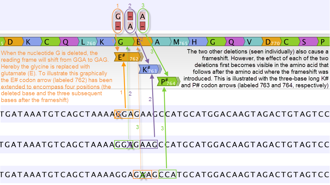Image aminoacidchanges_threedeletions