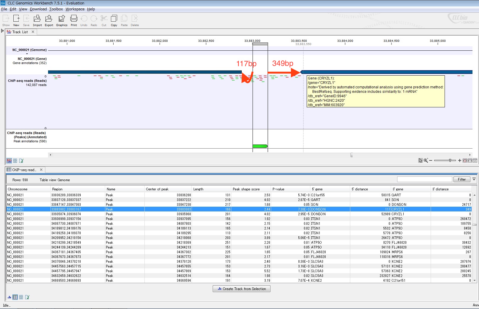 Image annotate_nearby_gene_information_chippeak