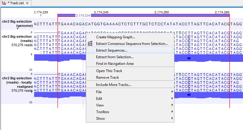 Image extractsequence