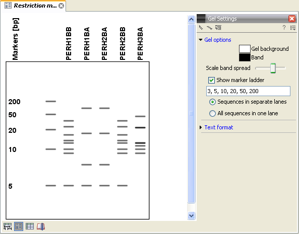 Image gelview