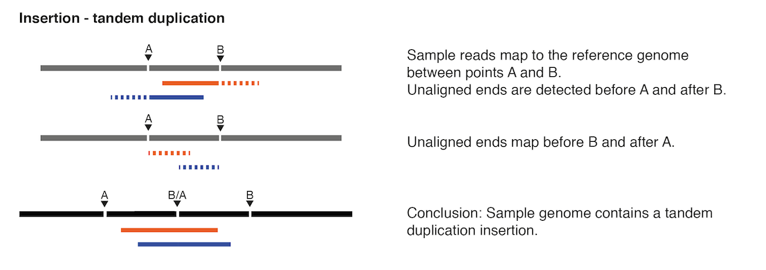 Image insertion-tandem