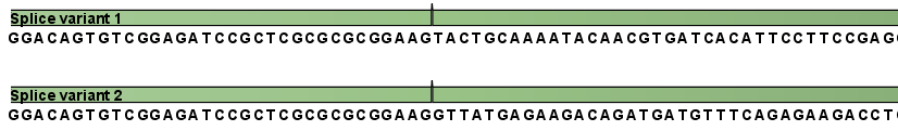 Image rnaseq_explained2