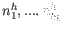 $ n_1^h,...,n_{k_h}^h$