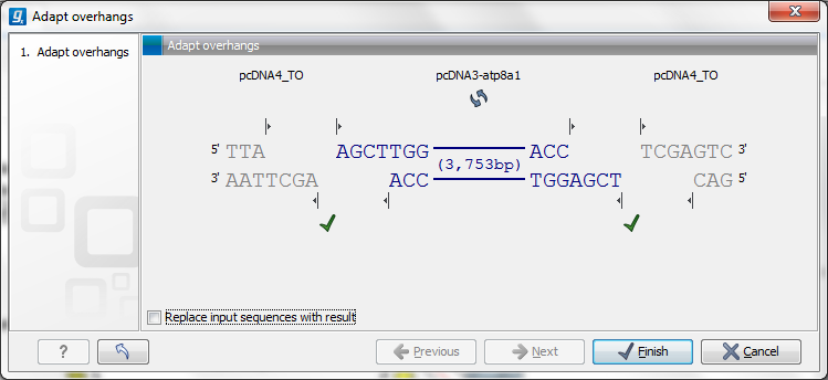 Image adaptoverhangs