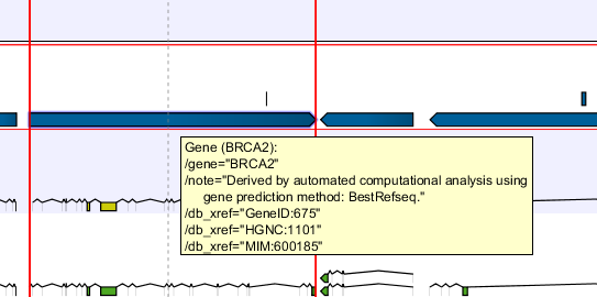 Image brca2_example