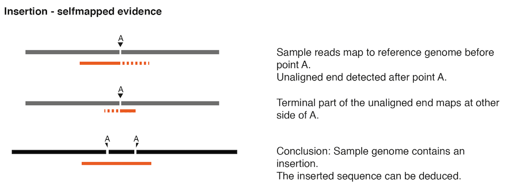 Image insertion-selfmapped