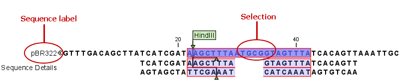 Image right-click-points