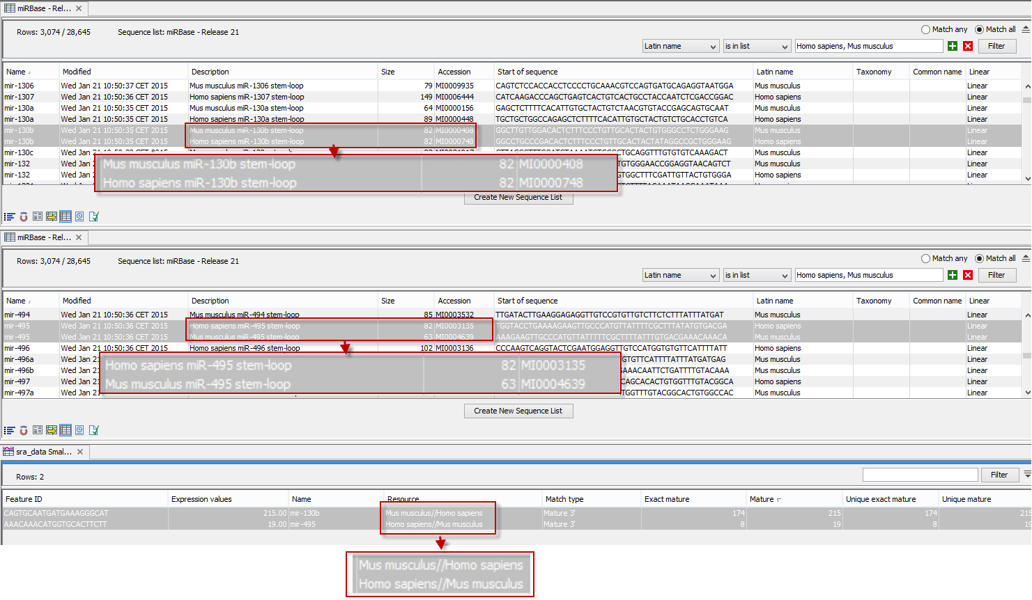 Image smallrna_mirbase