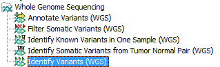 Image run_identify_variants_wgs
