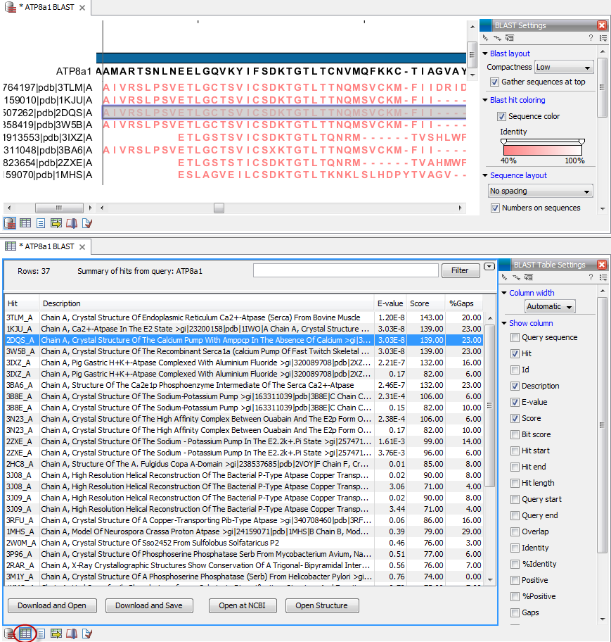 Image BLASTncbi_output