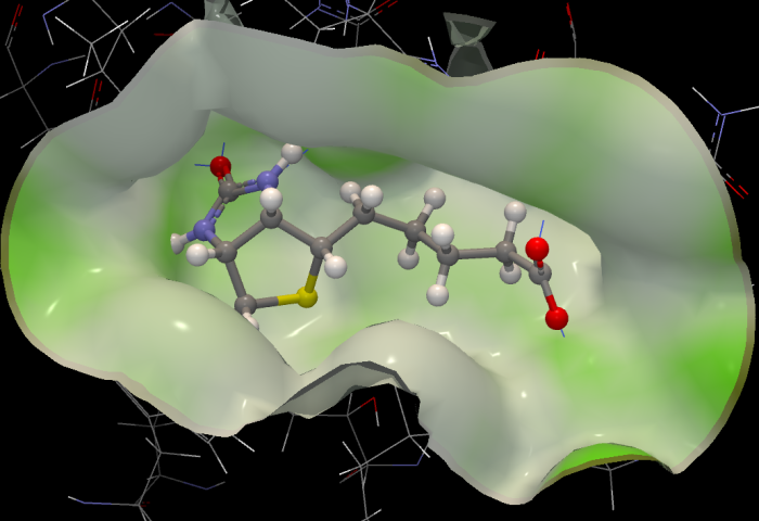 Image ligand_optimizer_surface