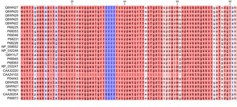 Image multipleAlignment3