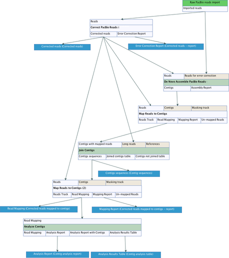 Image PacBio-Assembly-Pipeline_lowq