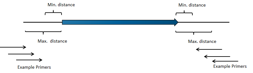 Image outside_primers