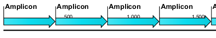 Image amplicon_output