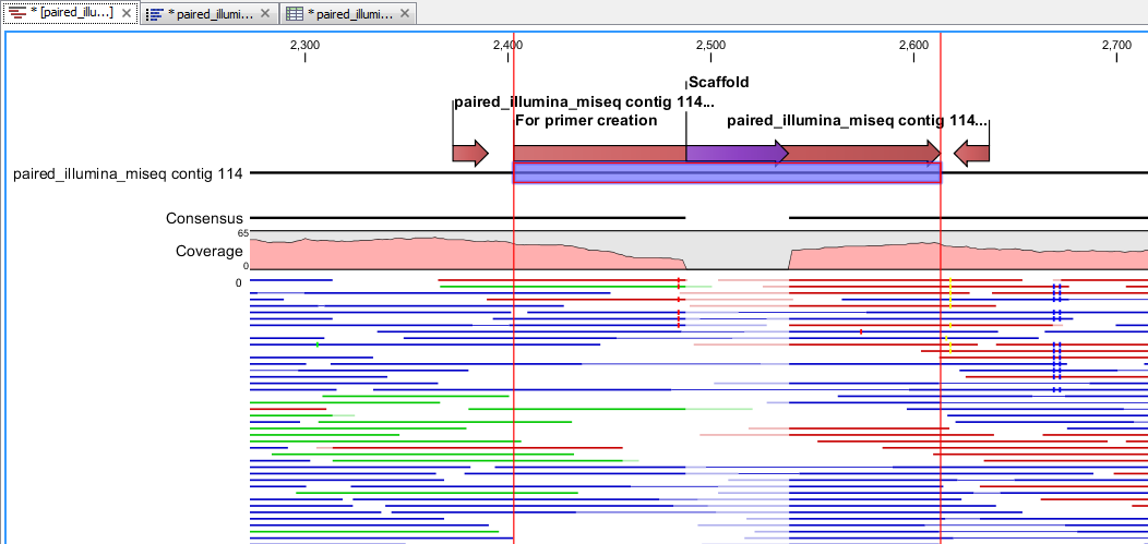 Image create_primers_to_annotated_scaffold2