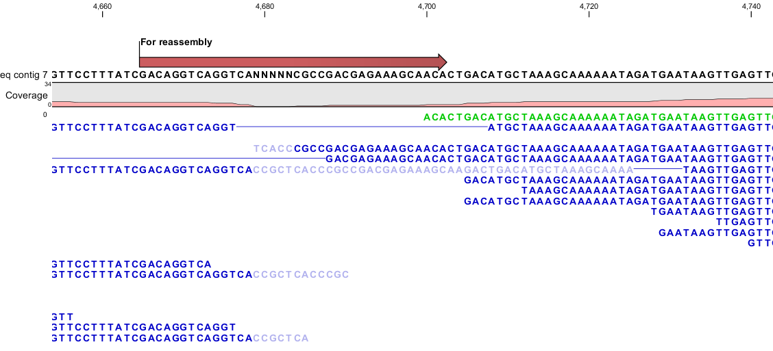 Image reassemble_example1