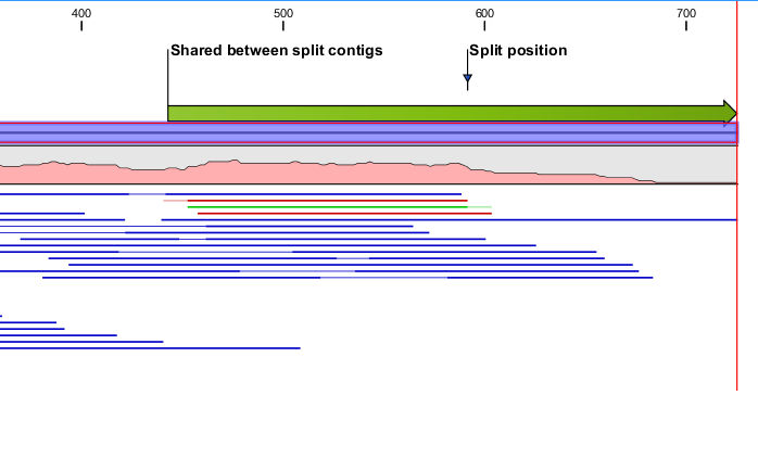 Image split_result_contig