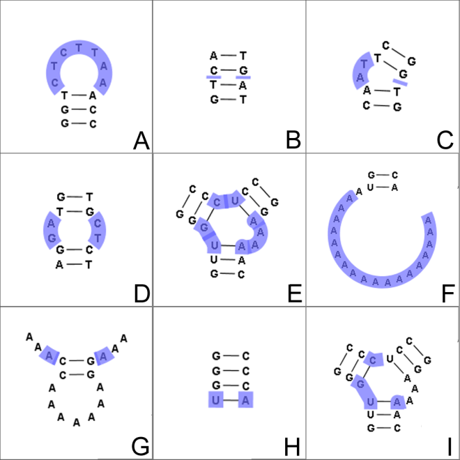 Image RNA_structure_prediction_web