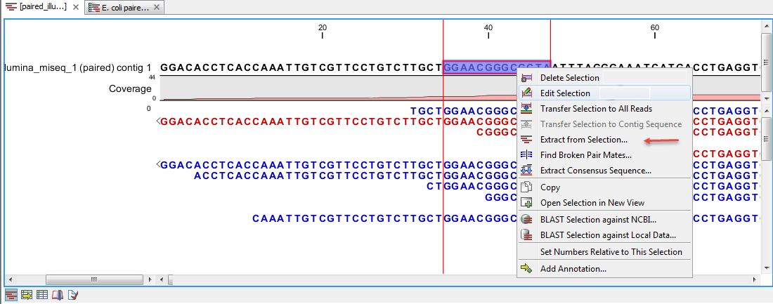 Image extract_selection_from_samapping