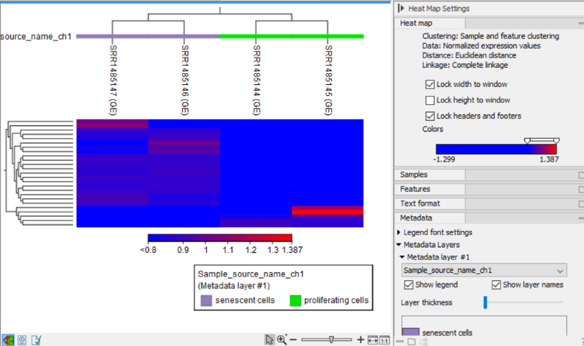 Image heatmap_output