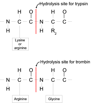 Image hydrolysis_gray