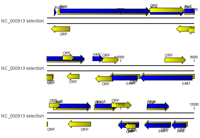 Image orf_coli