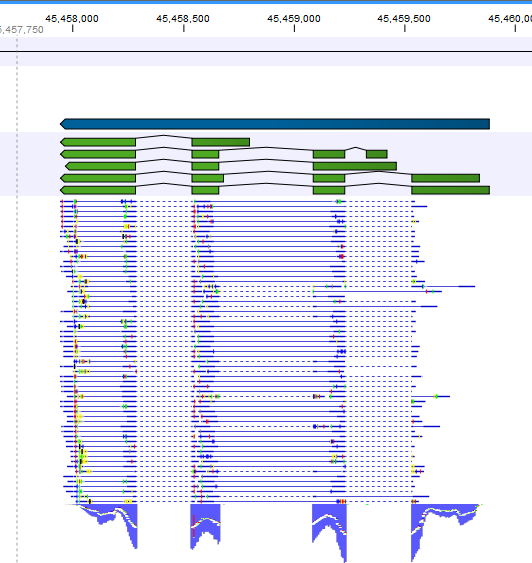 Image rna-seq-ftl1