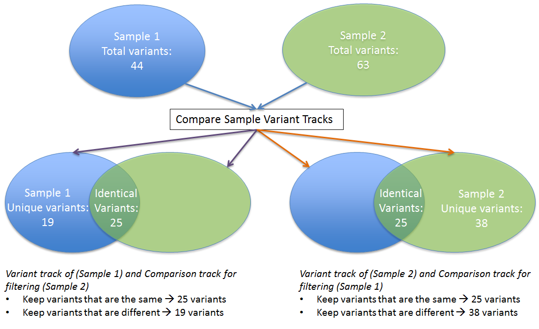 Image samplecompare_illustration