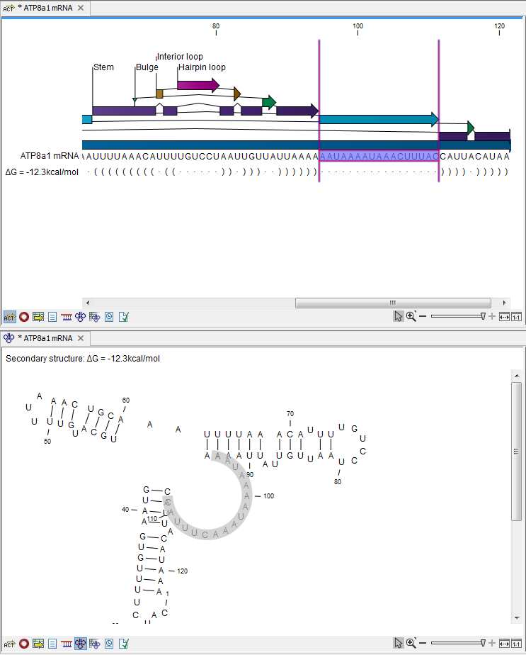 Image basepairprobabilities