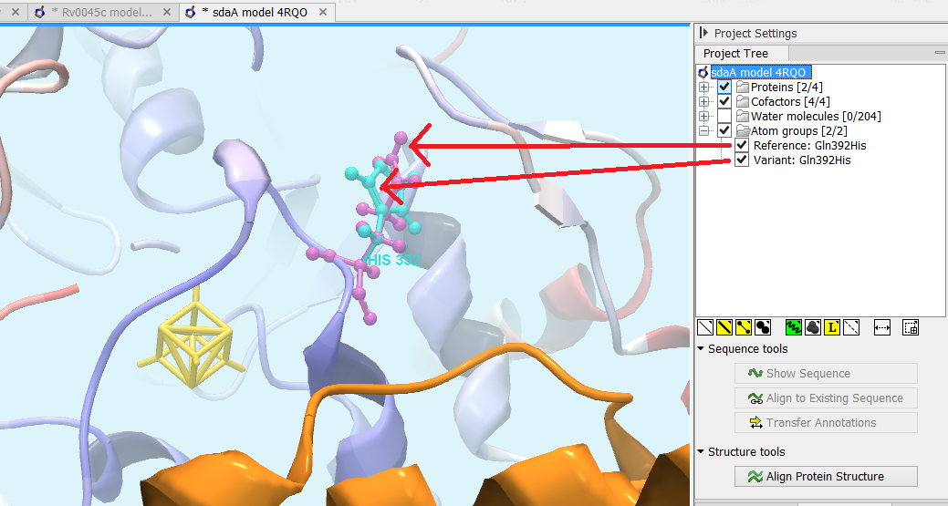 Image variant_on_structure_3Dview_annotated