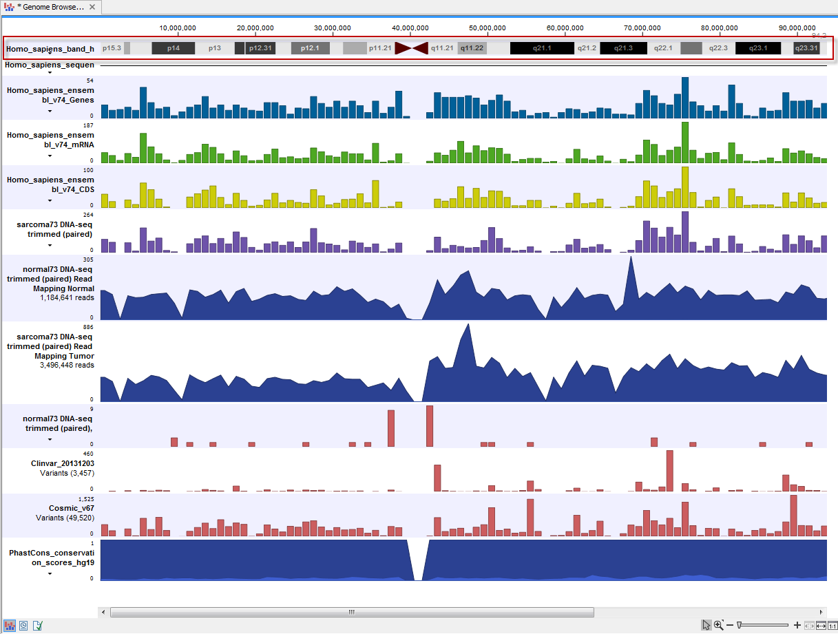 Image ideogram_in_genomebrowserview