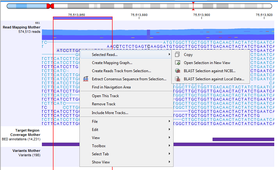 Image genomebrowserzoomallinheight