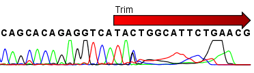 Image trimannotations