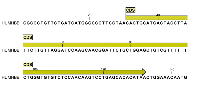 Image viewsequenceannotation