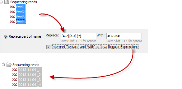 Image batch_rename_advanced2_example