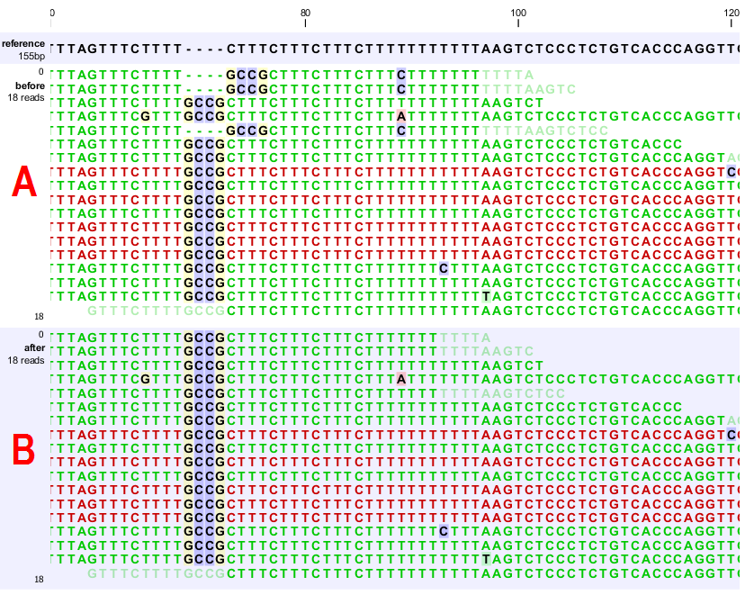 Image alignment_local